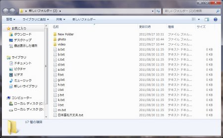 フォルダを開いた状態