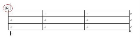 表を全選択します。 表を全選択します。